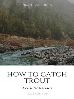 cover image of How to Catch Trout